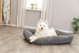 PHO_PRO_DOG_374020-374021-374022-1