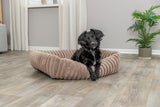 PHO_PRO_DOG_374025-2