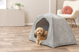 PHO_PRO_DOG_374040-374041-1