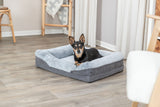 Kleiner Hund liegt in einem grauen Hundebett auf einem Holzboden in einem hellen Raum mit Vorhängen und Möbeln.