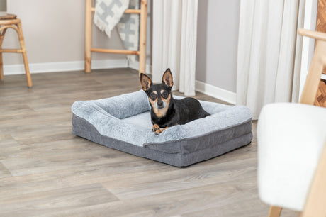Kleiner Hund liegt in einem grauen Hundebett auf einem Holzboden in einem hellen Raum mit Vorhängen und Möbeln.
