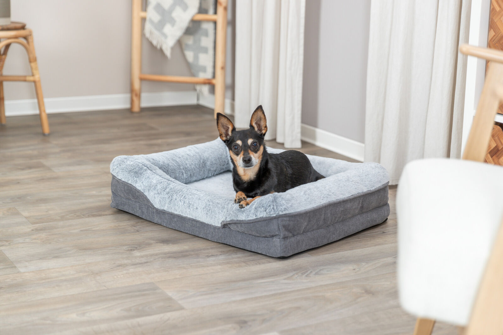 Kleiner Hund liegt in einem grauen Hundebett auf einem Holzboden in einem hellen Raum mit Vorhängen und Möbeln.