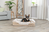Ein kleiner Hund liegt in einem beigen Hundebett in einem Wohnzimmer mit Holzboden, Sofa und Pflanzen im Hintergrund.