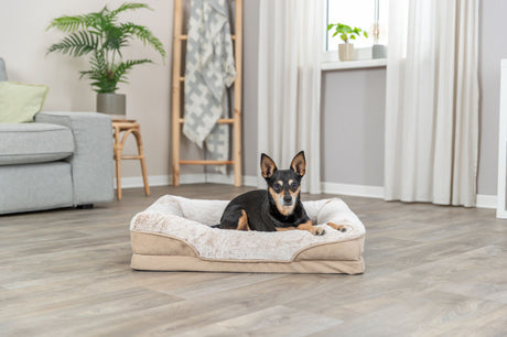 Ein kleiner Hund liegt in einem beigen Hundebett in einem Wohnzimmer mit Holzboden, Sofa und Pflanzen im Hintergrund.