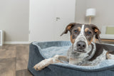 Ein Hund liegt in einem grauen Hundebett in einem modern eingerichteten Raum.