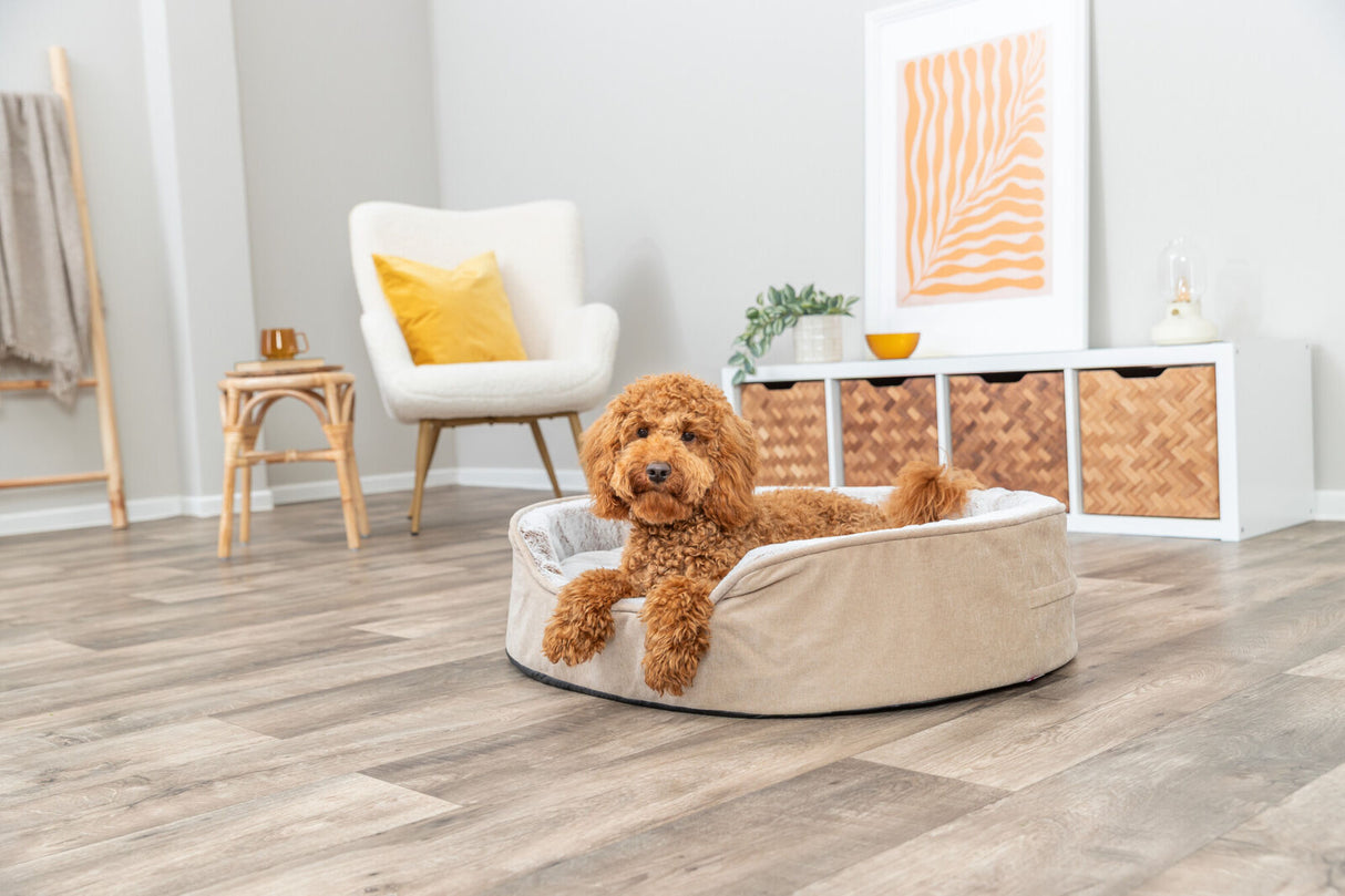 Ein brauner Hund liegt entspannt in einem beige Hundebett in einem modernen Wohnzimmer.
