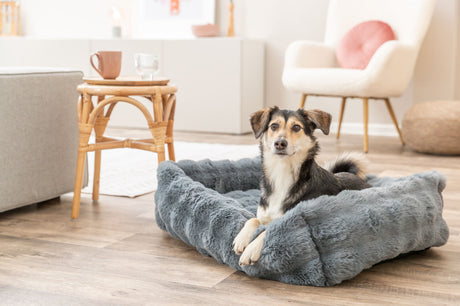 Hund liegt in einem grauen, flauschigen Hundebett auf einem Holzfußboden im Wohnzimmer.