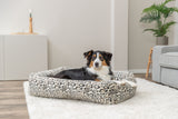 Ein Hund liegt in einem Bett mit Leopardenmuster auf einem hellen Teppich im Wohnzimmer.