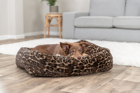Hund liegt in braunem Bett mit Leopardenmuster auf Holzfußboden im Wohnzimmer.