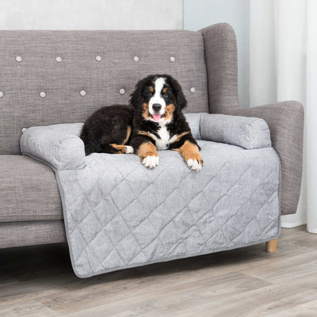 Ein Hund liegt auf einem grauen, gepolsterten Sofa mit gesteppter Decke.