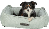 Hund liegt in einem hellen, gerippten Hundebett mit „homeEdition TRIXIE“-Etikett.