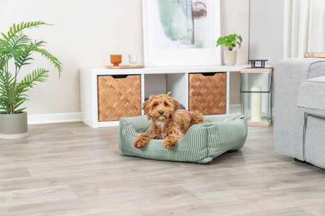 PHO_PRO_DOG_37691-3