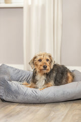 Ein Hund liegt in einem grauen Hundebett auf einem Holzboden vor einem hellen, unscharfen Hintergrund.