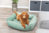 Ein brauner Hund liegt in einem mintgrünen Hundebett auf einem Holzboden, im Hintergrund ist eine Pflanze sichtbar.
