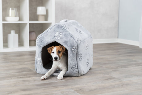 PHO_PRO_DOG_37843-1