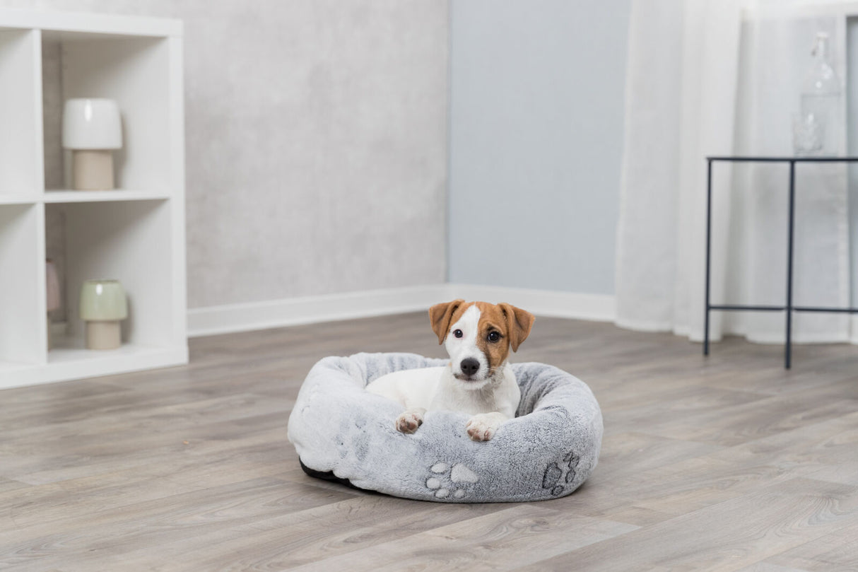 PHO_PRO_DOG_37844-1