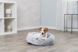 PHO_PRO_DOG_37844-1