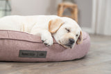 PHO_PRO_DOG_37880-37881-2
