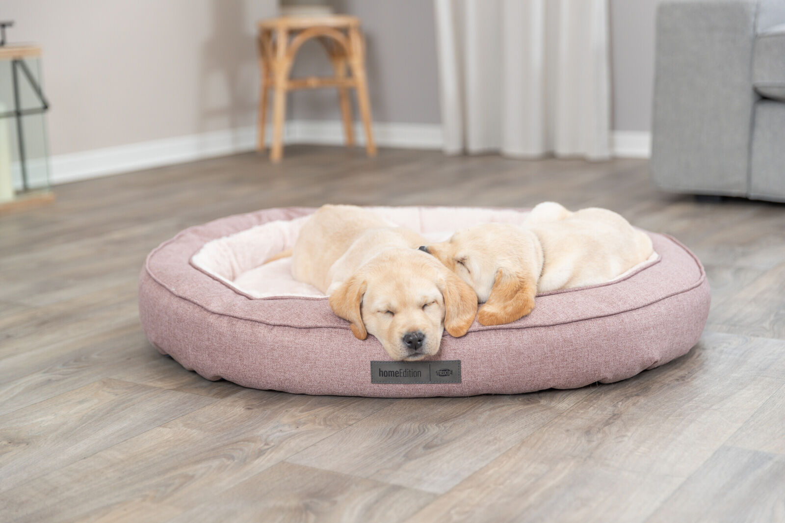 Zwei schlafende Welpen auf einem runden, rosafarbenen Hundebett in einem Raum mit Holzboden.