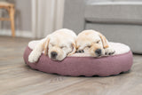 Zwei schlafende Welpen auf einem runden, lilafarbenen Kissen auf Holzboden vor grauem Hintergrund.