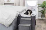 Ein kleiner Hund liegt auf einer grauen Plüschauflage auf einem erhöhten Podest mit Stufen neben einem Bett.
