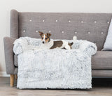 PHO_PRO_DOG_38045-2
