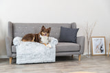 PHO_PRO_DOG_38046-38047-2
