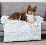 PHO_PRO_DOG_38046-38047-3