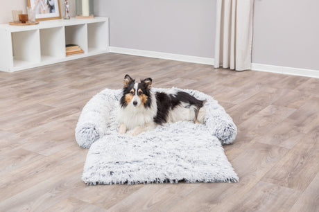 PHO_PRO_DOG_38047-1