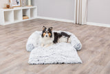 PHO_PRO_DOG_38047-1