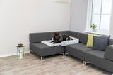 PHO_PRO_DOG_38047-3