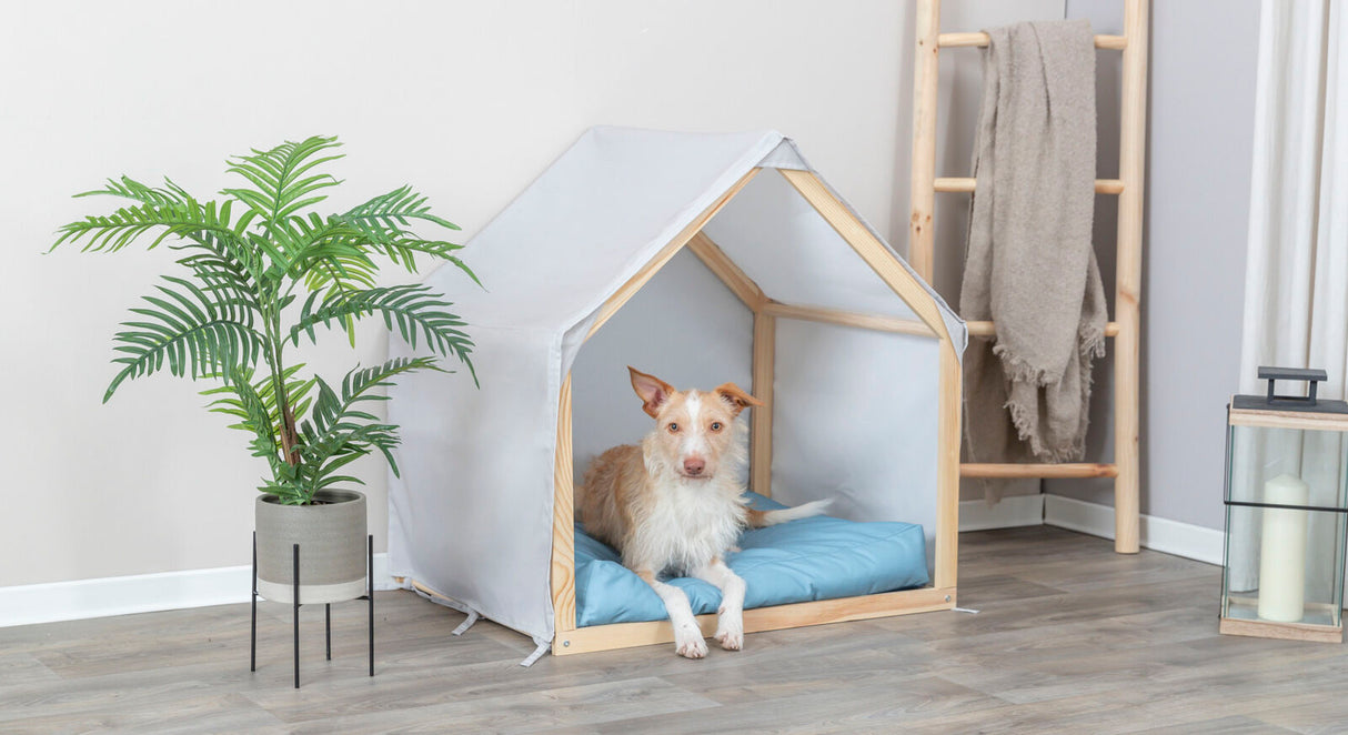 Ein Hund liegt auf einem blauen Kissen in einer kleinen Holzhütte neben einer Pflanze in einem modernen Raum.