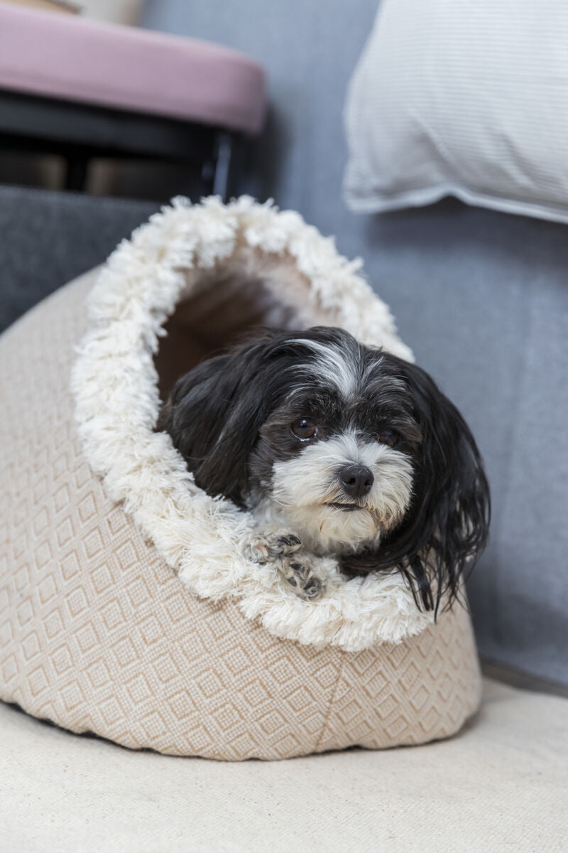 Ein kleiner Hund mit schwarz-weißem Fell liegt in einer weichen, beigen Höhle mit flauschigem Rand auf hellem Boden.