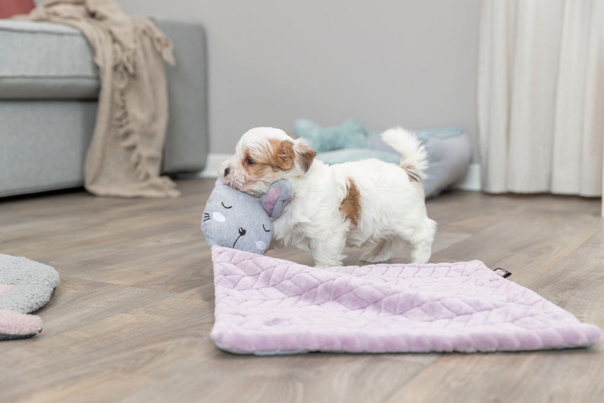 PHO_PRO_DOG_38242-4