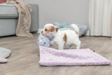 PHO_PRO_DOG_38242-4