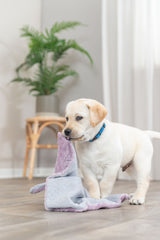 PHO_PRO_DOG_38242-6