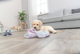 PHO_PRO_DOG_38242-7