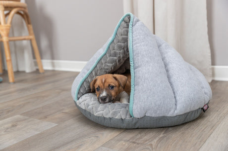 PHO_PRO_DOG_38254-3