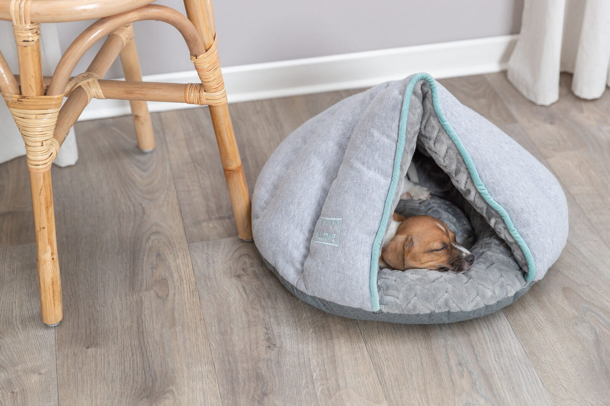 PHO_PRO_DOG_38254-4