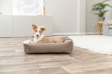 Ein kleiner Hund liegt in einem braunen Hundebett auf einem Holzboden in einem modernen Wohnzimmer.