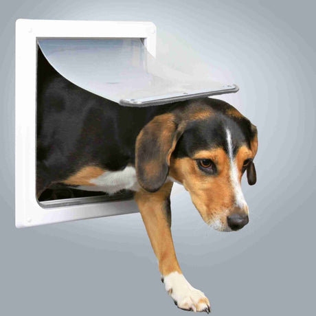 PHO_PRO_DOG_3878-1