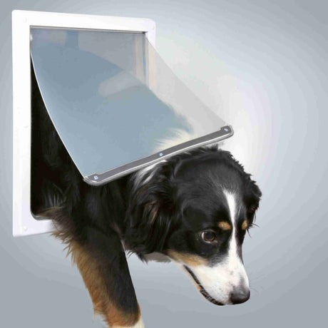 PHO_PRO_DOG_3879-1