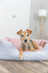 Kleiner brauner Hund liegt in einem grauen und rosa Hundebett auf Holzboden.