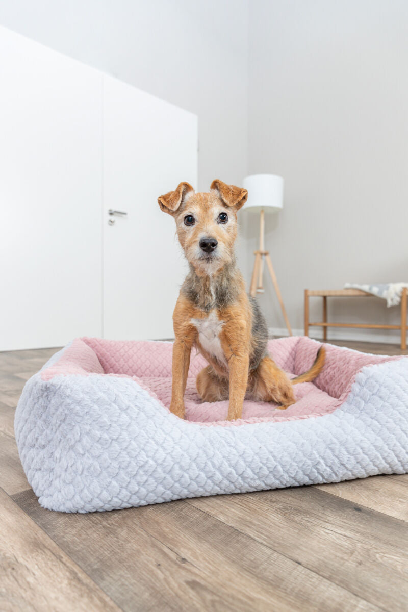 Kleiner Hund sitzt in einem weichen, rosa-weißen Hundebett auf Holzfußboden.