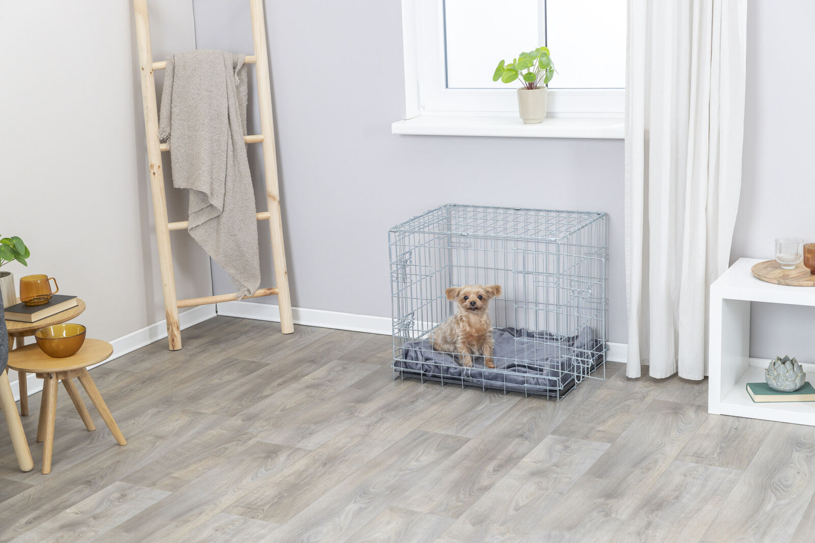 Ein kleiner Hund sitzt in einem Drahtkäfig auf einem grau gepolsterten Boden, daneben eine Holzleiter und ein Tisch.