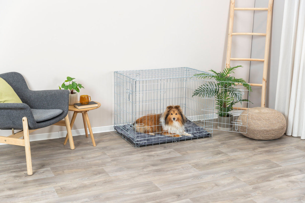 PHO_PRO_DOG_3924-2