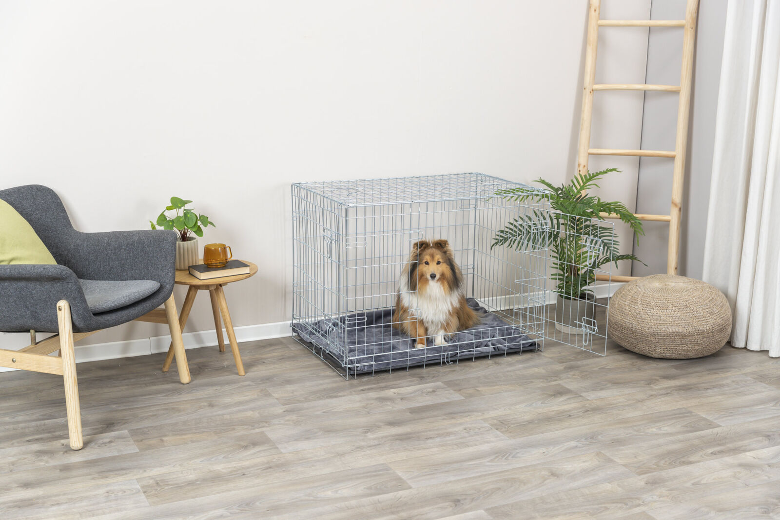 Ein Hund sitzt in einem metallenen Gitterkäfig auf einer grauen Decke, neben einer Zimmerpflanze, in einem modernen Wohnraum.