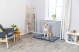 PHO_PRO_DOG_3925-1