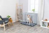 Hund sitzt in einem großen Metallkäfig mit grauer Decke in einem hellen Raum mit Pflanzen und Möbeln.