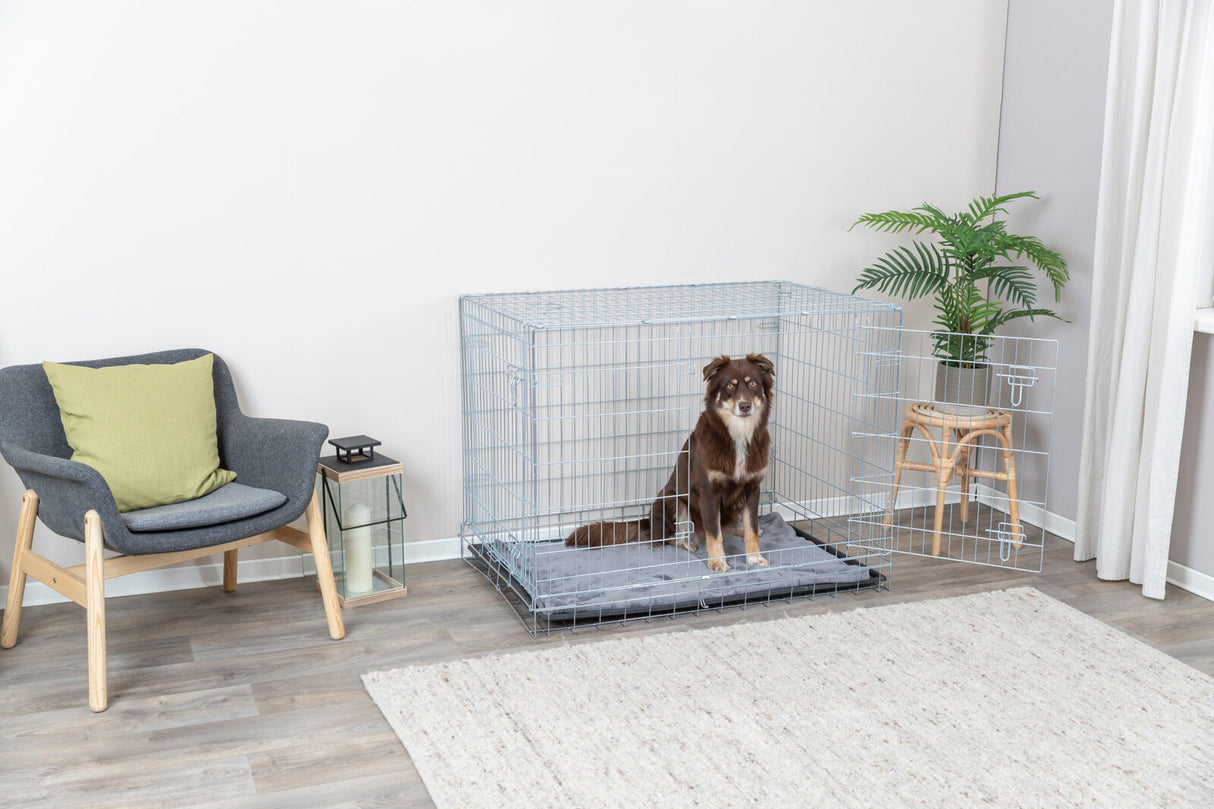 PHO_PRO_DOG_3926-2